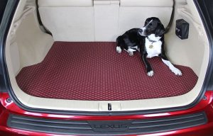 burgundy-cargo-rubbertite-dog