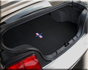 cl-in-car-trunk-pony-and-bars-copy